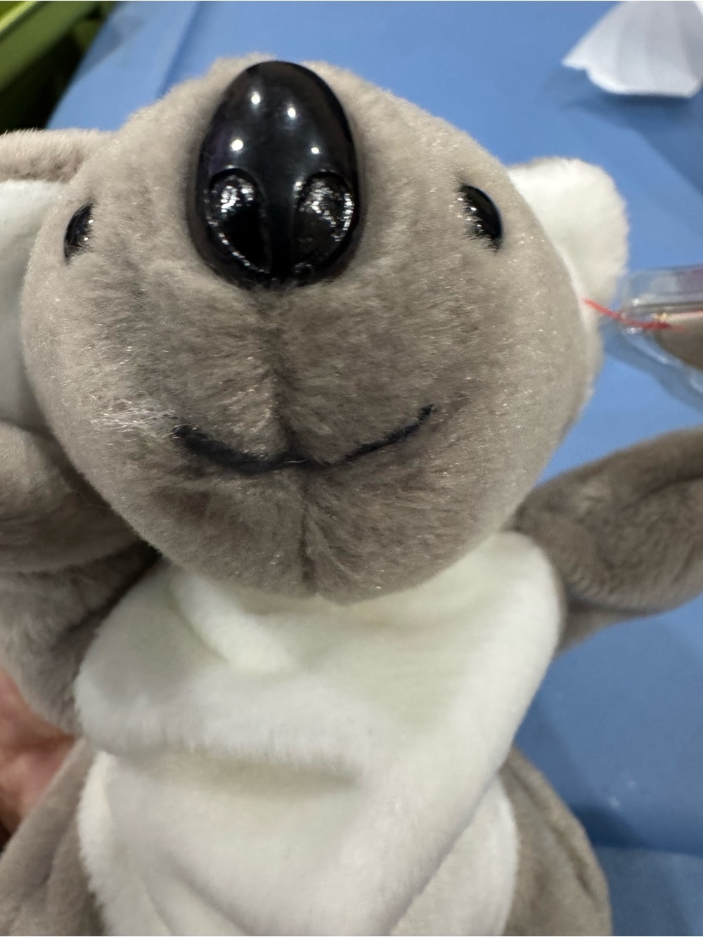Gray and White Plush Koala Stuffed Animal- TY Mel the Koala Bear